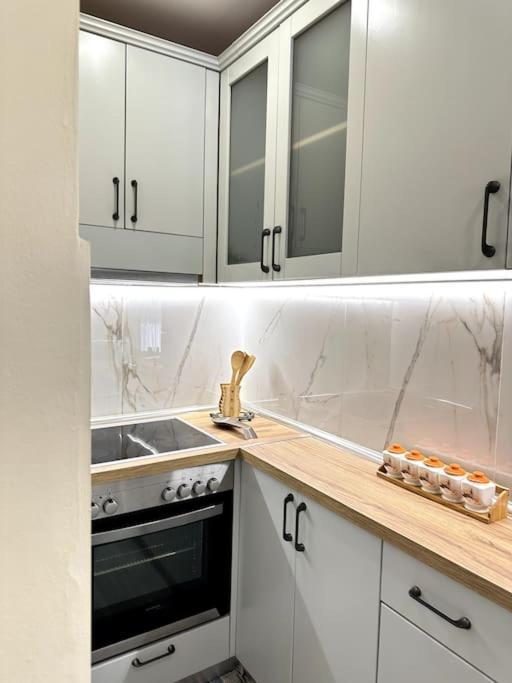 Great Apartament Near Lake & Blloku Area Tirana Eksteriør billede